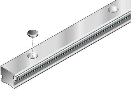 Cam roller guide rails